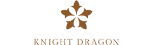 Knight Dragon