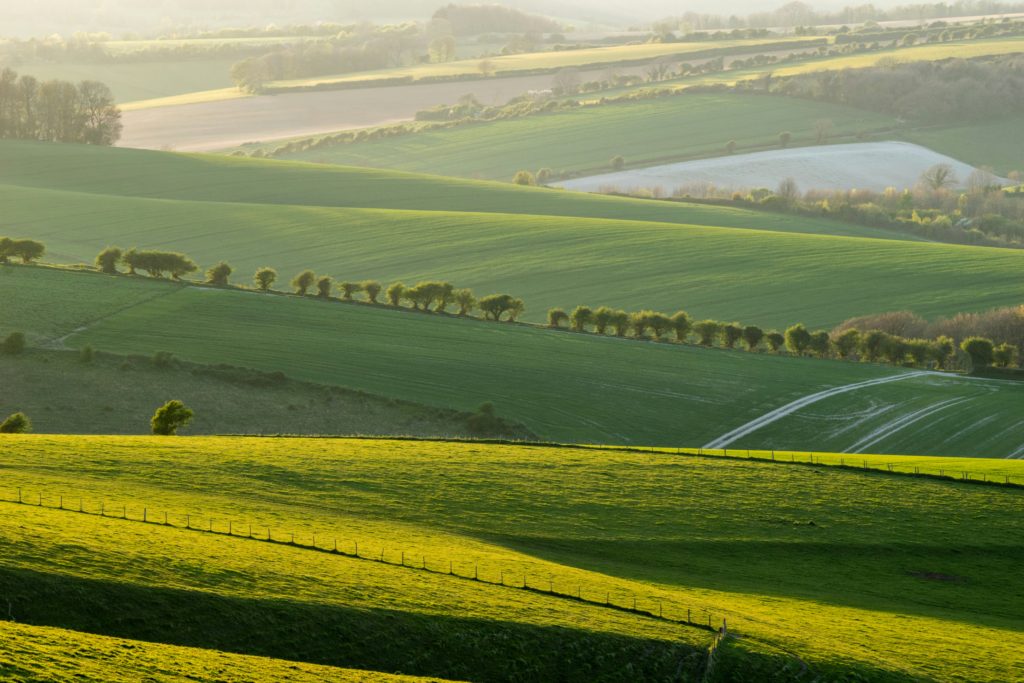 Environment Bank adds sixteen BNG sites to Natural England biodiversity gain sites register
