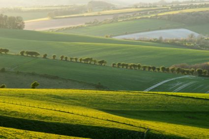 Environment Bank adds sixteen BNG sites to Natural England biodiversity gain sites register